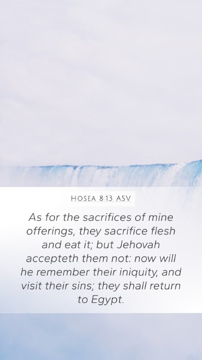 Hosea 8:13 ASV Bible Verse Image