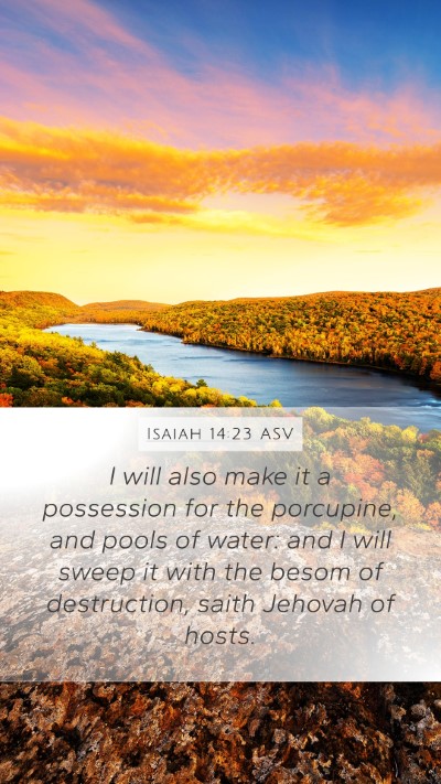 Isaiah 14:23 ASV Bible Verse Image