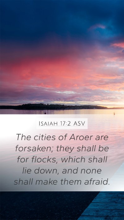 Isaiah 17:2 ASV Bible Verse Image