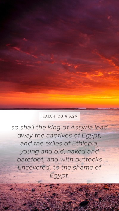 Isaiah 20:4 ASV Bible Verse Image