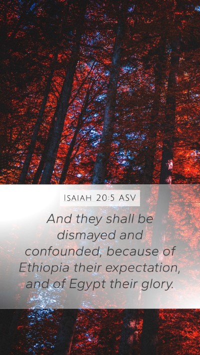 Isaiah 20:5 ASV Bible Verse Image