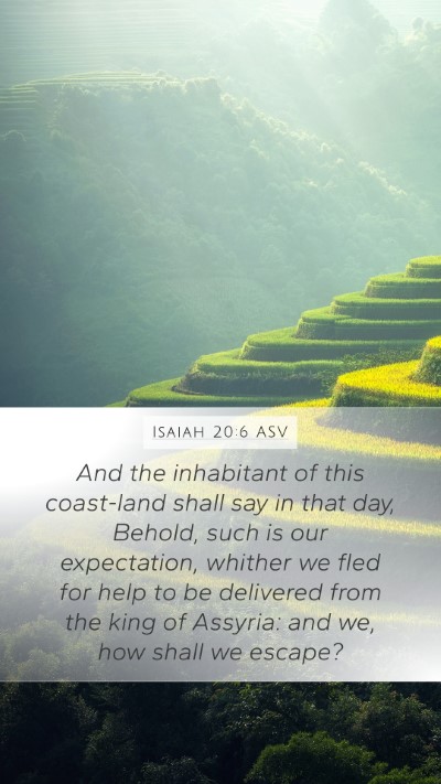 Isaiah 20:6 ASV Bible Verse Image
