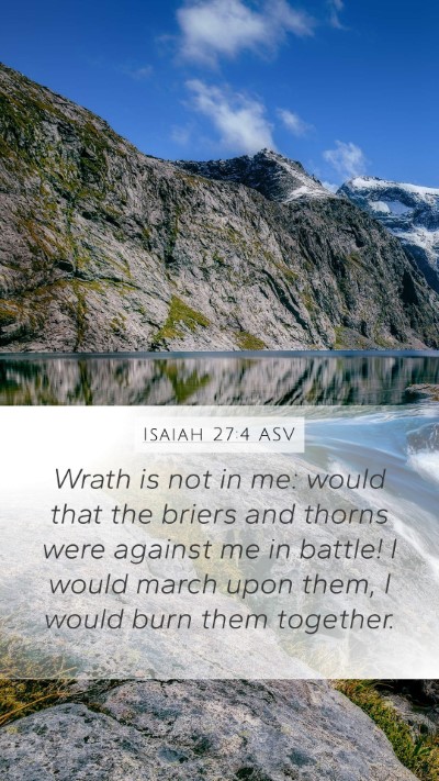 Isaiah 27:4 ASV Bible Verse Image