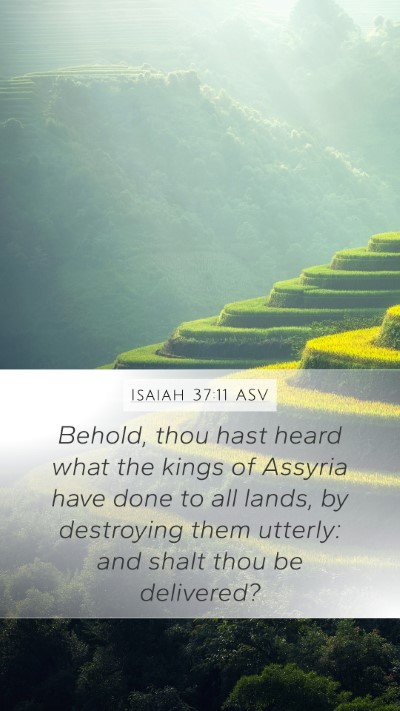 Isaiah 37:11 ASV Bible Verse Image