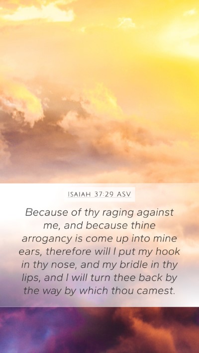 Isaiah 37:29 ASV Bible Verse Image