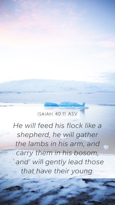 Isaiah 40:11 ASV Bible Verse Image