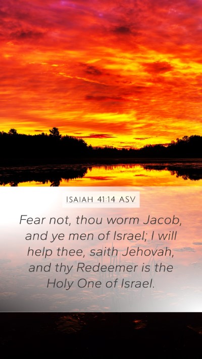 Isaiah 41:14 ASV Bible Verse Image
