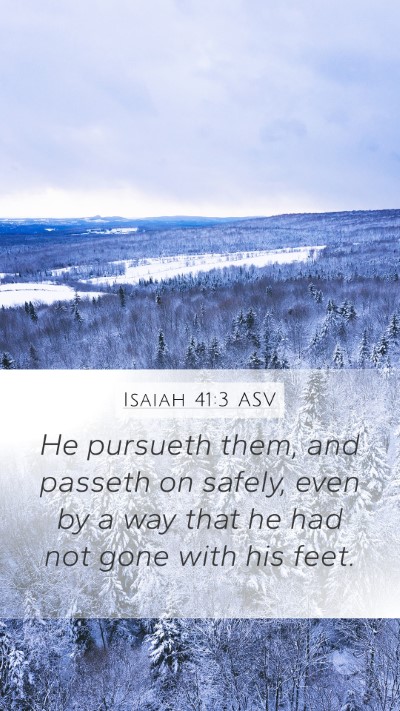 Isaiah 41:3 ASV Mobile Phone Wallpaper - He pursueth them, and passeth on safely, even by - Mobile Bible Verse Wallpaper