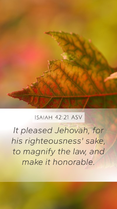 Isaiah 42:21 ASV Bible Verse Image
