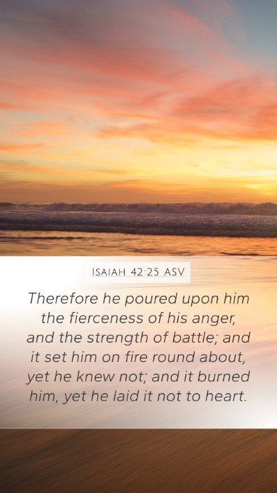 Isaiah 42:25 ASV Bible Verse Image