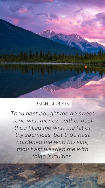 Isaiah 43:24 ASV Bible Verse Image