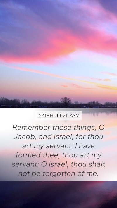 Isaiah 44:21 ASV Bible Verse Image