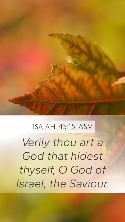 Isaiah 45:15 ASV Bible Verse Image