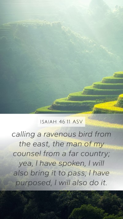 Isaiah 46:11 ASV Bible Verse Image
