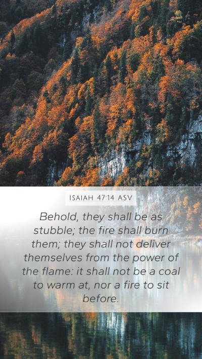 Isaiah 47:14 ASV Bible Verse Image