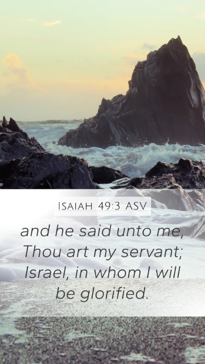 Isaiah 49:3 ASV Bible Verse Image