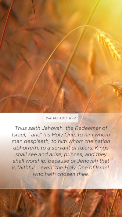 Isaiah 49:7 ASV Bible Verse Image