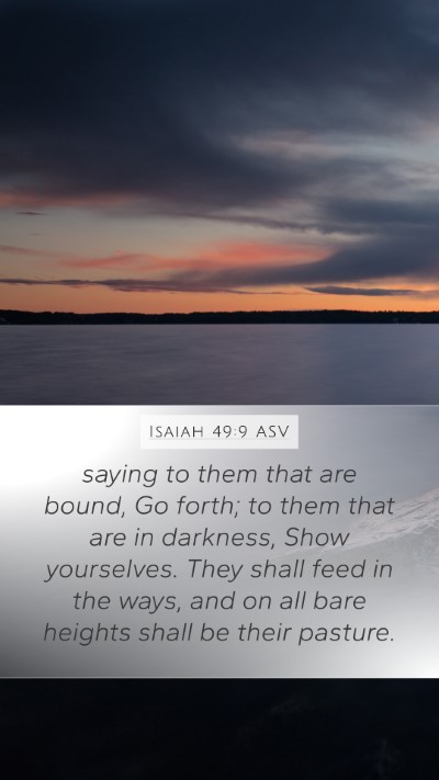 Isaiah 49:9 ASV Bible Verse Image