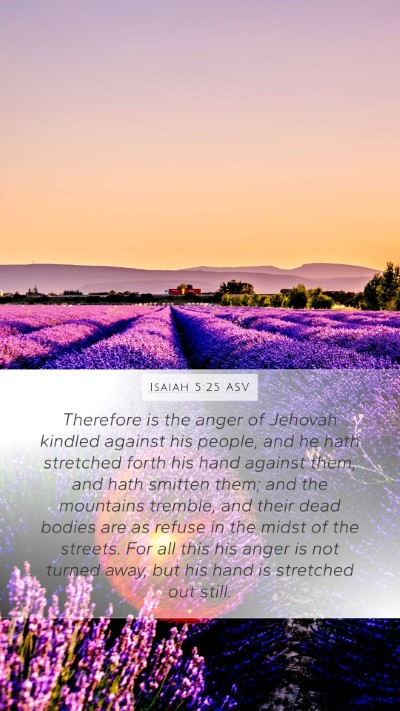 Isaiah 5:25 ASV Bible Verse Image