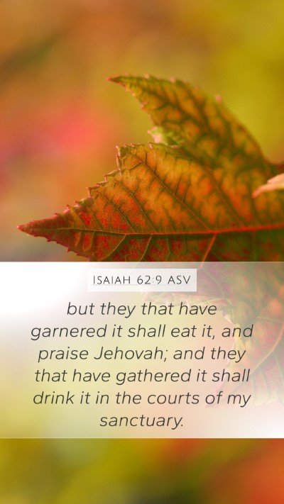 Isaiah 62:9 ASV Bible Verse Image