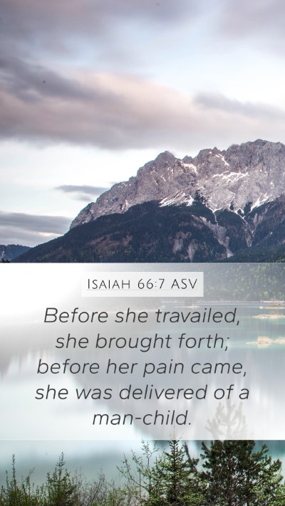 Isaiah 66:7 ASV Bible Verse Image