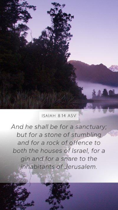 Isaiah 8:14 ASV Bible Verse Image