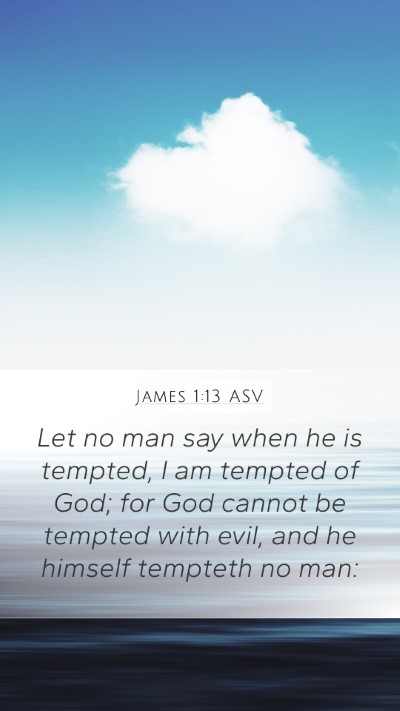 James 1:13 ASV Bible Verse Image