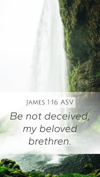 James 1:16 ASV Bible Verse Image