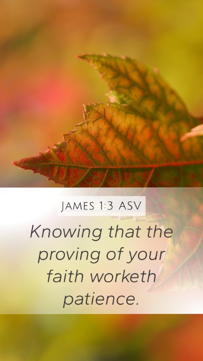 James 1:3 ASV Bible Verse Image