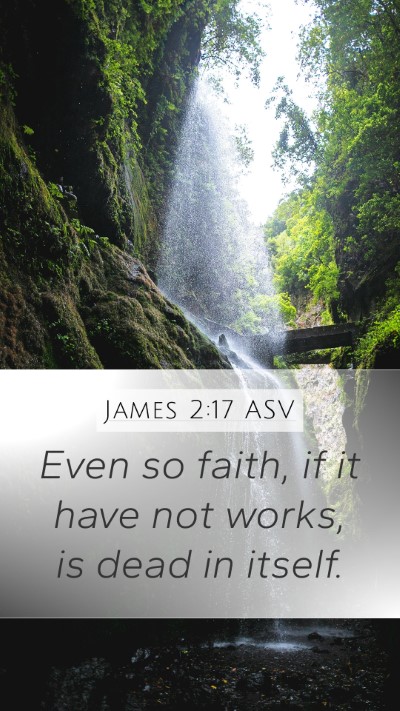 James 2:17 ASV Bible Verse Image