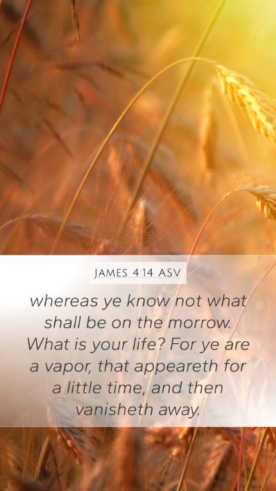 James 4:14 ASV Bible Verse Image