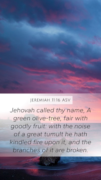 Jeremiah 11:16 ASV Bible Verse Image