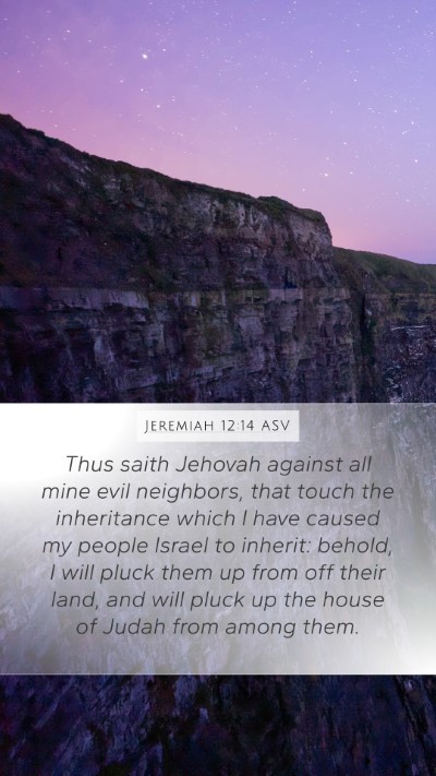 Jeremiah 12:14 ASV Bible Verse Image