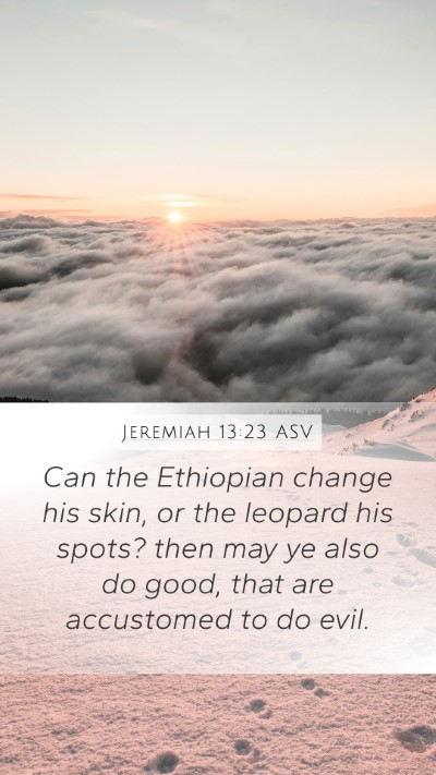 Jeremiah 13:23 ASV Bible Verse Image