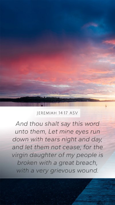 Jeremiah 14:17 ASV Bible Verse Image