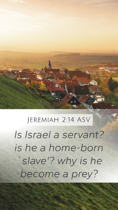 Jeremiah 2:14 ASV Mobile Phone Wallpaper - Is Israel a servant? is he a home-born `slave'? - Mobile Bible Verse Wallpaper