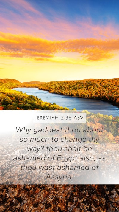 Jeremiah 2:36 ASV Bible Verse Image