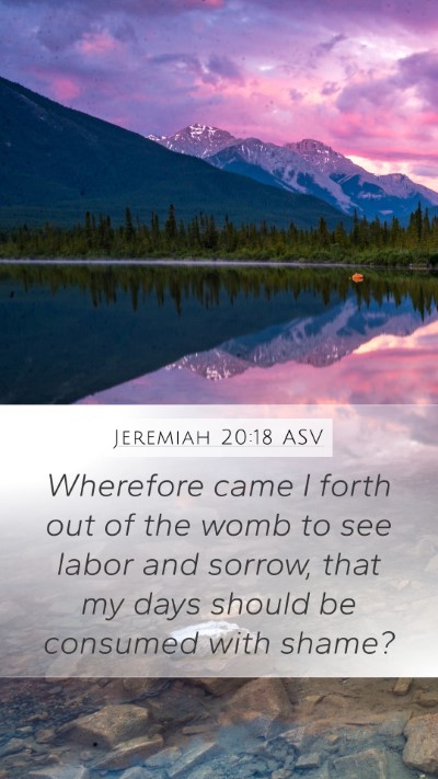 Jeremiah 20:18 ASV Bible Verse Image