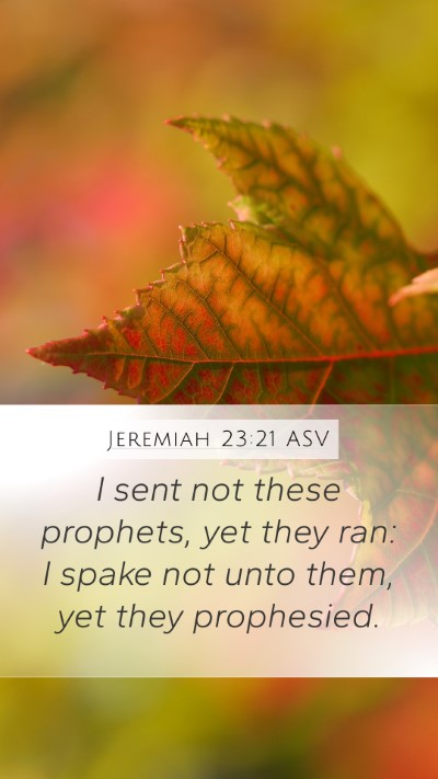 Jeremiah 23:21 ASV Bible Verse Image