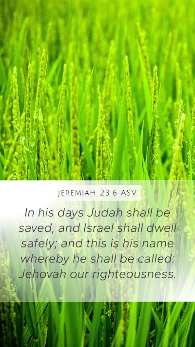 Jeremiah 23:6 ASV Bible Verse Image