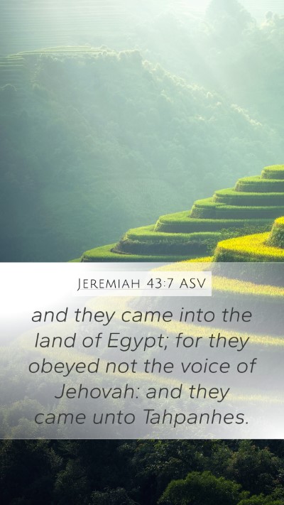 Jeremiah 43:7 ASV Bible Verse Image