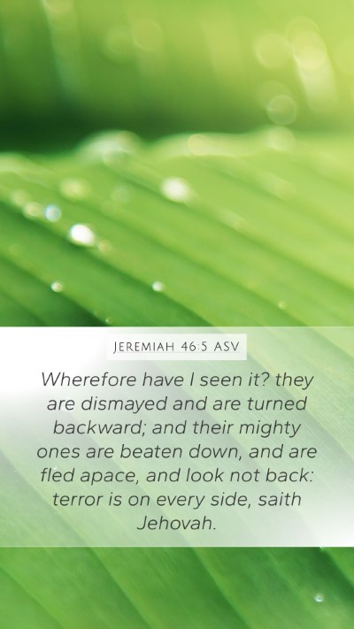 Jeremiah 46:5 ASV Bible Verse Image