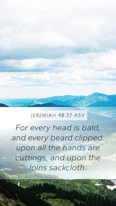 Jeremiah 48:37 ASV Bible Verse Image