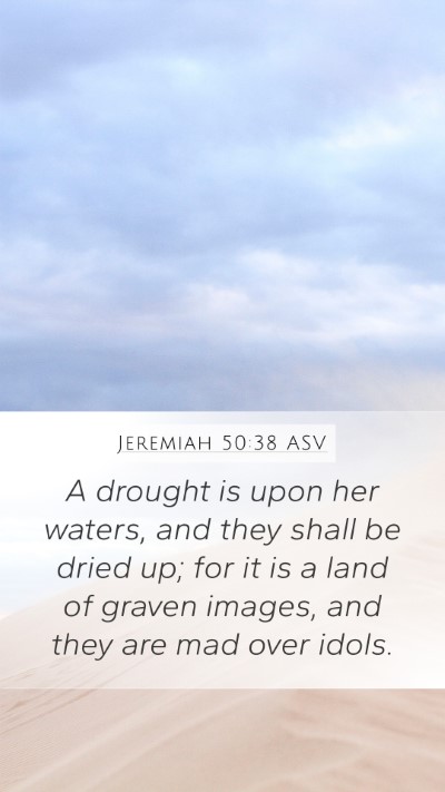 Jeremiah 50:38 ASV Bible Verse Image