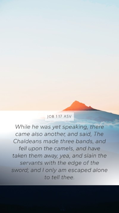 Job 1:17 ASV Bible Verse Image