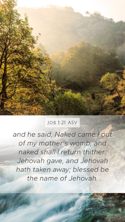 Job 1:21 ASV Bible Verse Image