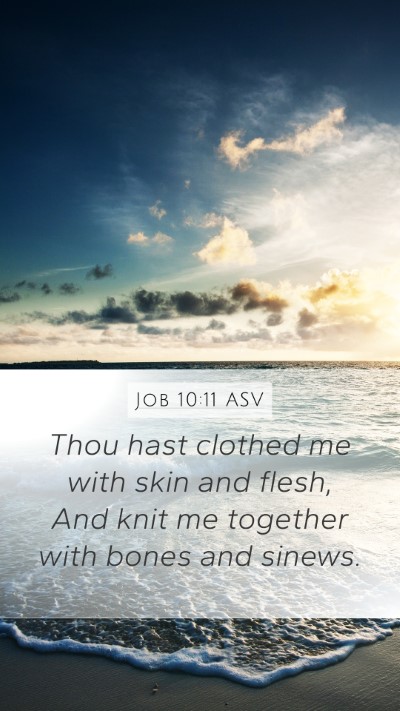Job 10:11 ASV Mobile Phone Wallpaper - Thou hast clothed me with skin and flesh, And - Mobile Bible Verse Wallpaper