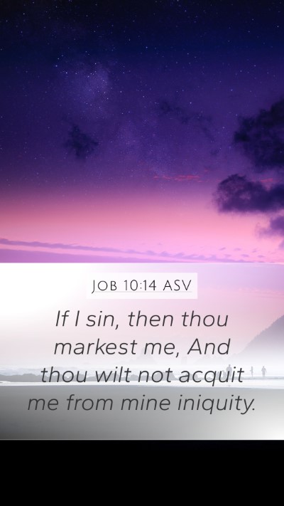 Job 10:14 ASV Bible Verse Image