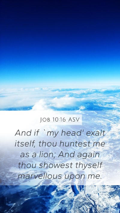 Job 10:16 ASV Bible Verse Image