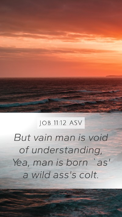 Job 11:12 ASV Bible Verse Image